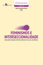 Feminismos E Interseccionalidade - Preview