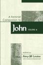 Feminist Companion To John Volume 2 - Preview