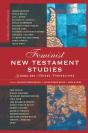 Feminist New Testament Studies - Preview
