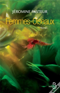 Capa do artigo Femmes-Oiseaux