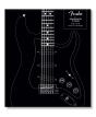 Fender Stratocaster 70 Years - Preview