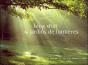 Feng-Shui Et Jardins De Lumières - Preview