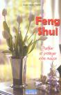 Feng Shui ; Purifier Et Proteger Votre Maison - Preview