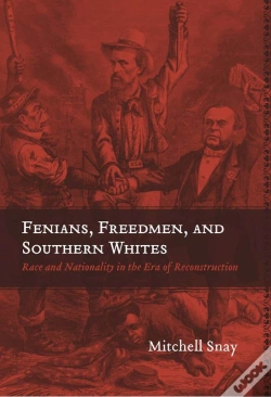 Capa do artigo Fenians, Freedmen, And Southern Whites