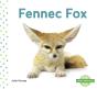 Fennec Fox - Preview