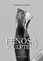 Capa do artigo Fenosa