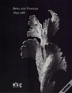 Capa do artigo Fenosa