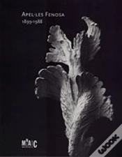 Capa do artigo Fenosa