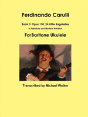 Ferdinando Carulli Book 3 Opus 130, 24 Little Bagatelles In Tablature And Modern Notation For Baritone Ukulele - Preview