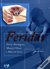 Capa do artigo Feridas