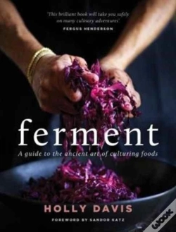 Capa do artigo Ferment