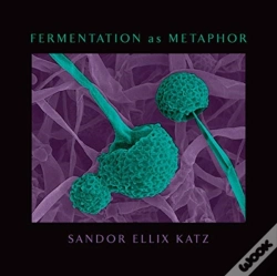 Capa do artigo Fermentation As Metaphor