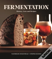 Capa do artigo Fermentation
