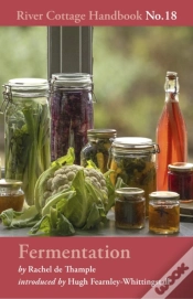 Capa do artigo Fermentation
