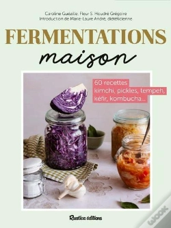 Capa do artigo Fermentations Maison