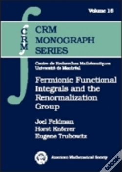 Capa do artigo Fermionic Functional Integrals And The Renormalization Group