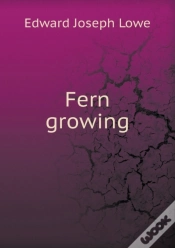 Capa do artigo Fern Growing