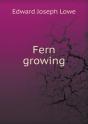 Fern Growing - Preview