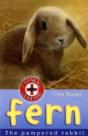 Fern - Preview