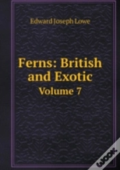 Capa do artigo Ferns