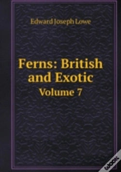 Capa do artigo Ferns
