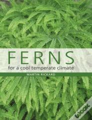Ferns For A Cool Temperate Climate