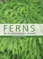 Ferns For A Cool Temperate Climate - Preview