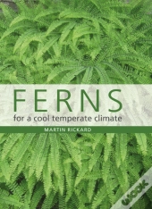Ferns For A Cool Temperate Climate