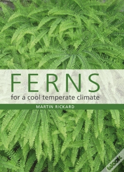 Capa do artigo Ferns For A Cool Temperate Climate