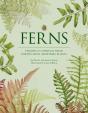 Ferns - Preview