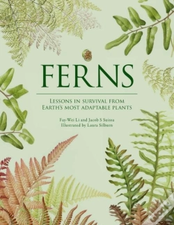 Capa do artigo Ferns