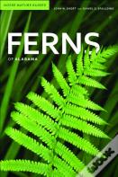 Ferns Of Alabama