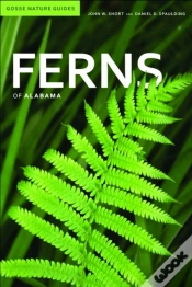 Capa do artigo Ferns Of Alabama
