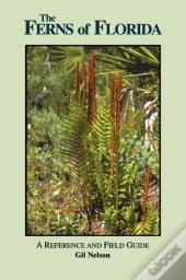 Ferns Of Florida