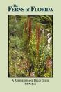 Ferns Of Florida - Preview