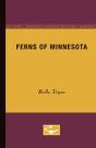 Ferns Of Minnesota - Preview