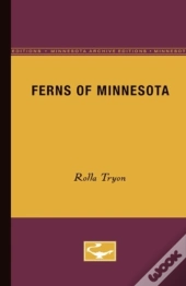 Ferns Of Minnesota