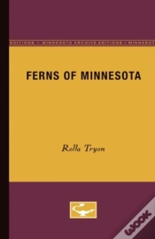 Capa do artigo Ferns Of Minnesota