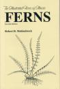 Ferns - Preview