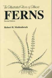 Capa do artigo Ferns