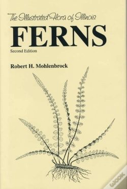 Capa do artigo Ferns