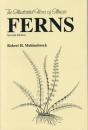 Ferns - Preview