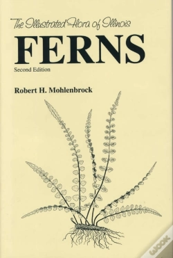 Capa do artigo Ferns