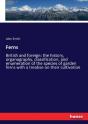Ferns - Preview