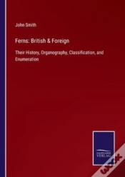 Capa do artigo Ferns