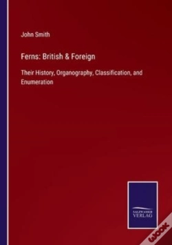 Capa do artigo Ferns