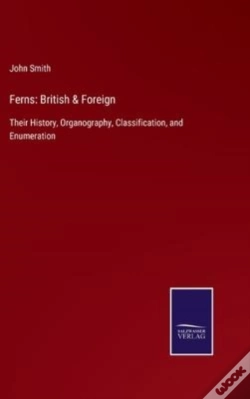 Capa do artigo Ferns