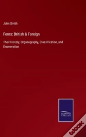 Capa do artigo Ferns