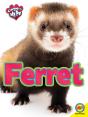 Ferret - Preview