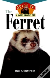 Capa do artigo Ferret